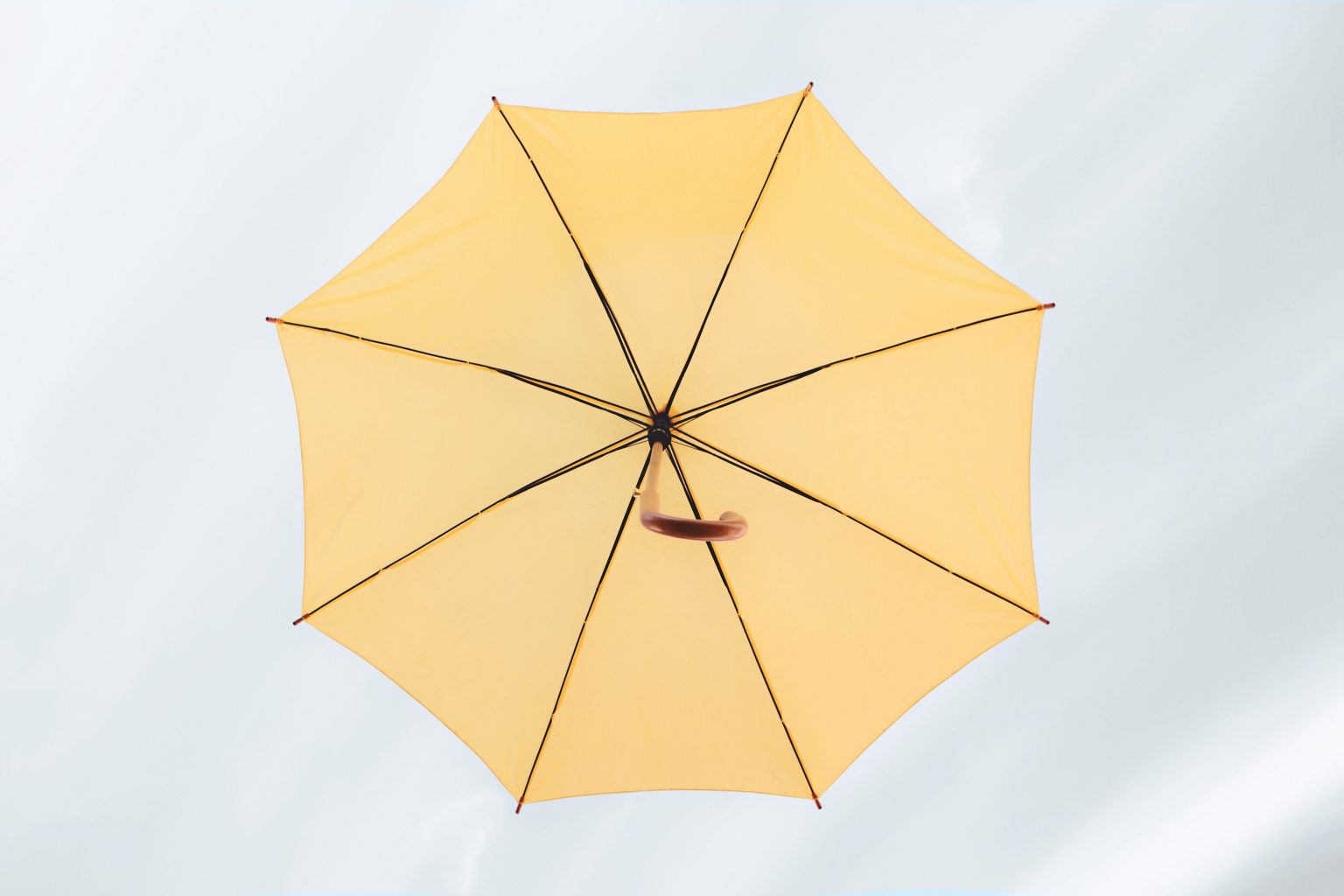 Payroll requirements for setting up an umbrella company Codapay